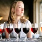 Класифікація і види вин