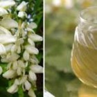Саморобне вино з квіток білої акації (нектару)