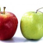 Самогон з яблук в домашніх умовах