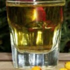 Рецепт домашньої настоянки з обліпихи на спирті (горілці, самогоні)