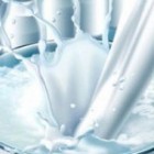 Як очистити самогон (горілку) молоком