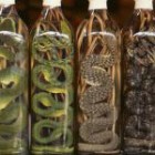 Зміївка (вино чи горілка зі змією) – екзотичне спиртне Сходу